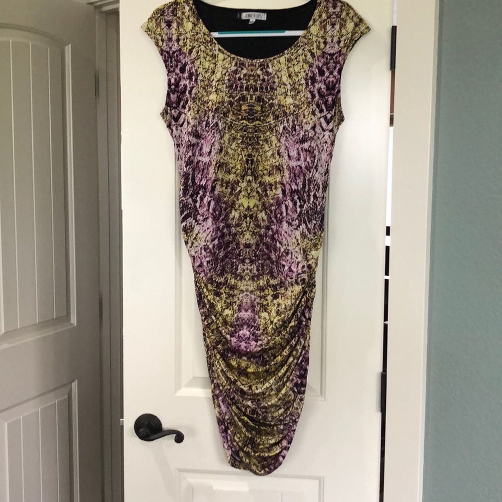 Large Jennifer Lopez Side ZIP Dress